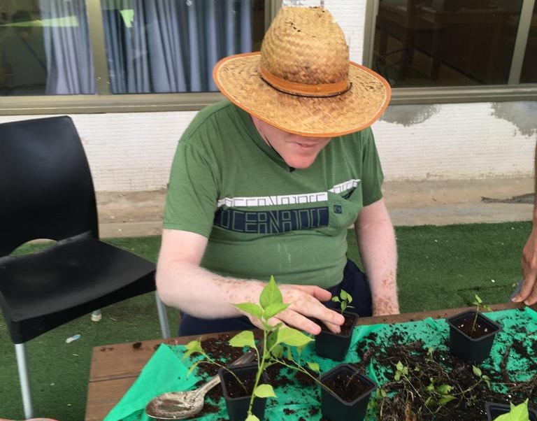 חממה טיפולית