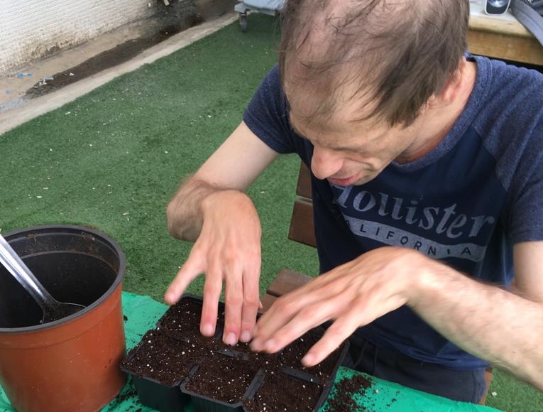 חממה טיפולית